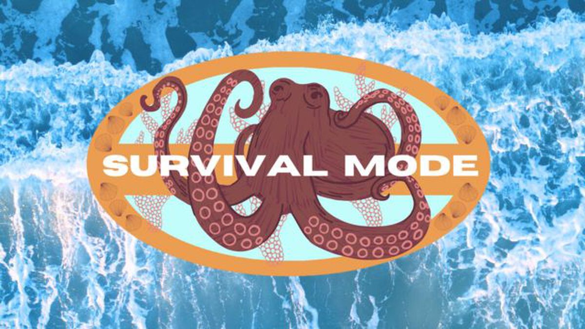 Survival Mode - Team Building Event image number 0